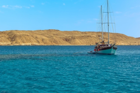 Sharm El Sheikh : Croisière de plongée en apnée sur l'île de Tiran et déjeuner