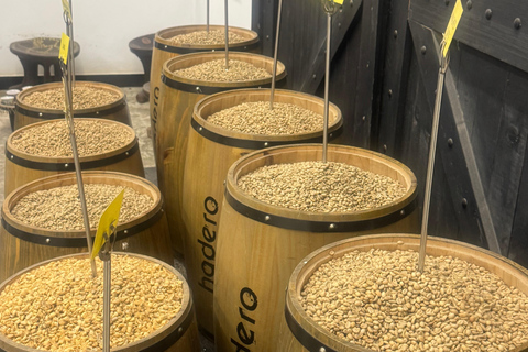 Where Coffee Was Born: Addis Ababa Culture & Highlands Tour