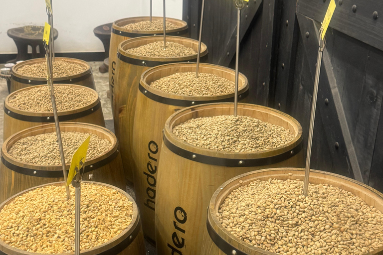 Where Coffee Was Born: Addis Ababa Culture & Highlands Tour