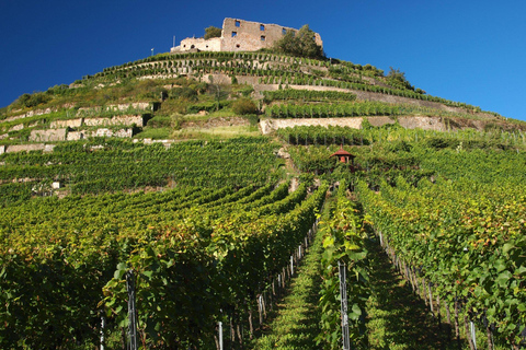 From Zurich: French Villages & Black Forest Small Group Tour