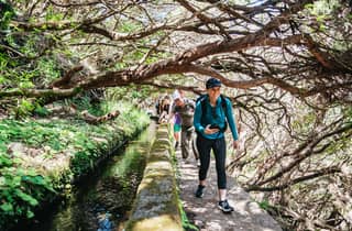 Madeira: Genieße einen geführten Rundgang durch das Rabaçal-Tal