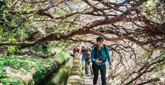 Madeira: Enjoy a Guided Levada Walk in the Rabaçal Valley