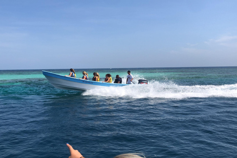 Puerto Plata: Full-day trip to Cayo Arena and Punta Rucia