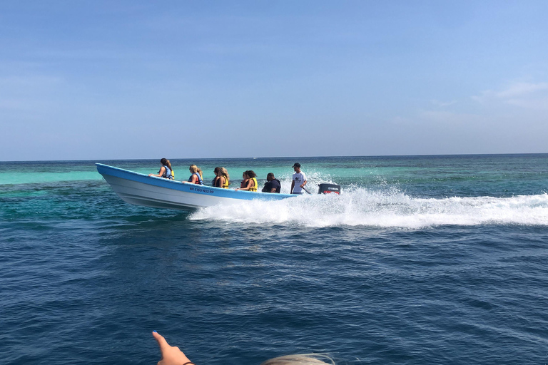 Puerto Plata: Full-day trip to Cayo Arena and Punta Rucia