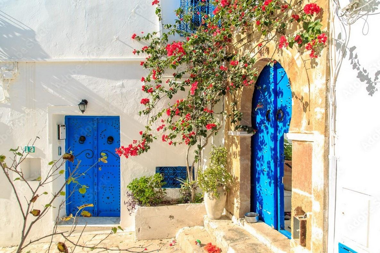 Hammamet: Carthage & Sidi Bou Said Half-Day Tour