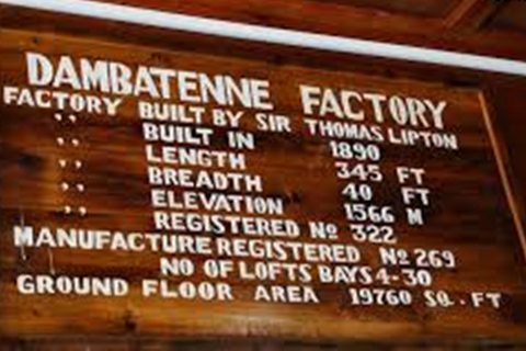 Lipton&#039;s Seat, Adisham Bungalow, excursão à fábrica de chá DambetennaDe Ella: Duas noites e três dias - Tour totalmente particular