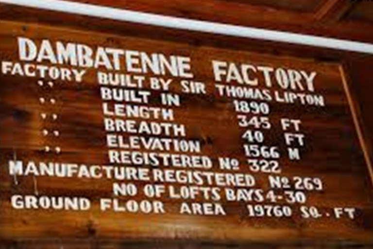 Lipton&#039;s Seat, Adisham Bungalow, excursão à fábrica de chá DambetennaDe Ella: Duas noites e três dias - Tour totalmente particular