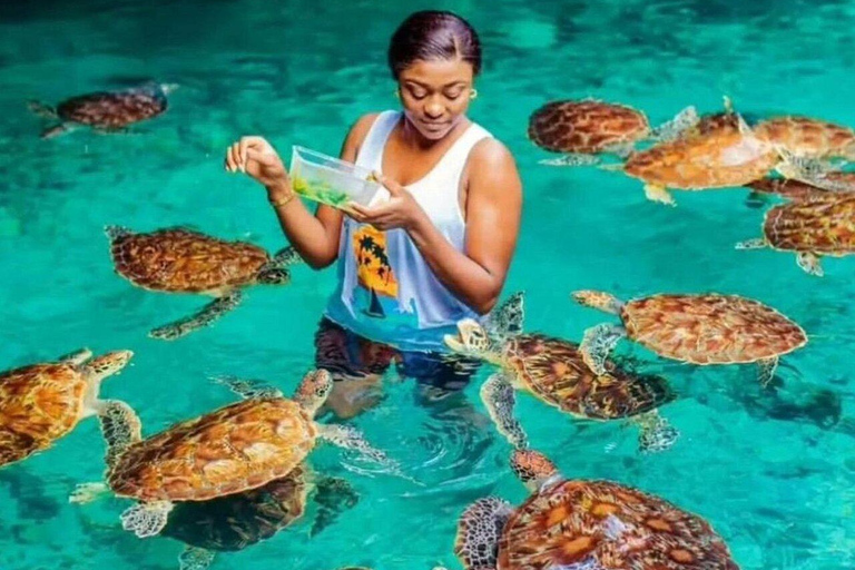 Zanzibar: Jozani forest and Salaam Cave Swim with turtles