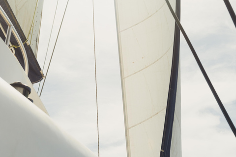 Providence Catamaran: 2-Hour Tour – Port Visit + Sailing Cruise Catamaran Providence: 2-Hour Tour – Port Visit + Sailing Cruise