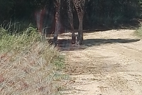 Mombasa: Wildlife Sanctuary Guided Nature Trail Tour Wildlife Sanctuary Guided Nature Trail Tour