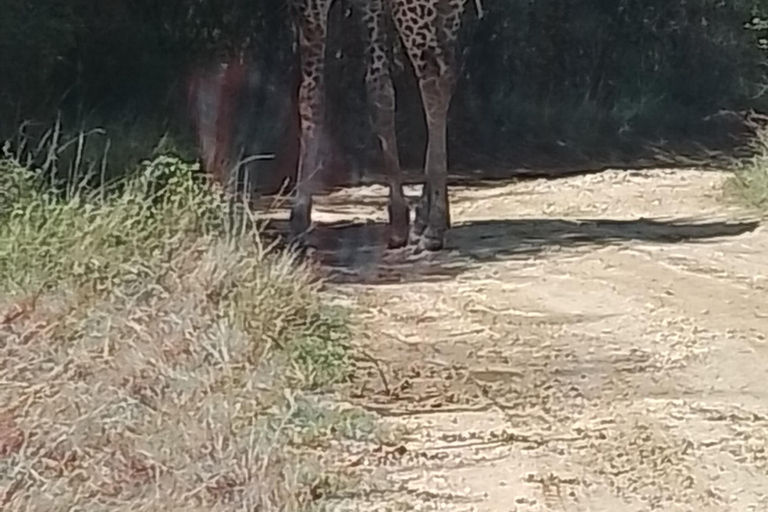 Mombasa: Wildlife Sanctuary Guided Nature Trail Tour Wildlife Sanctuary Guided Nature Trail Tour
