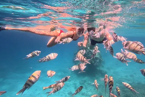 Hurghada: Snorkelling Trip by Speedboat with Hotel Pickup
