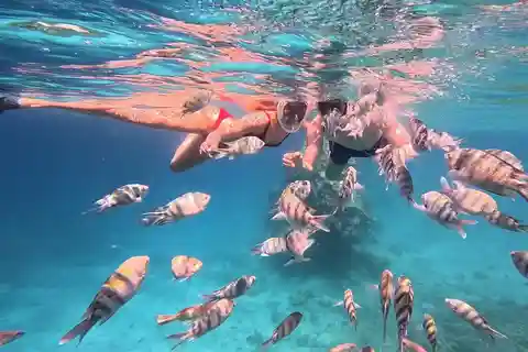 Hurghada: Schnorcheltrip mit dem Schnellboot und Abholung vom Hotel