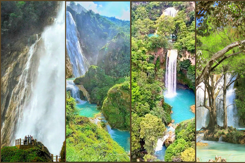 Chiapas: Private Natur Tour 4 Tage und 3 NächtePrivate Natur Tour in 4 Tagen