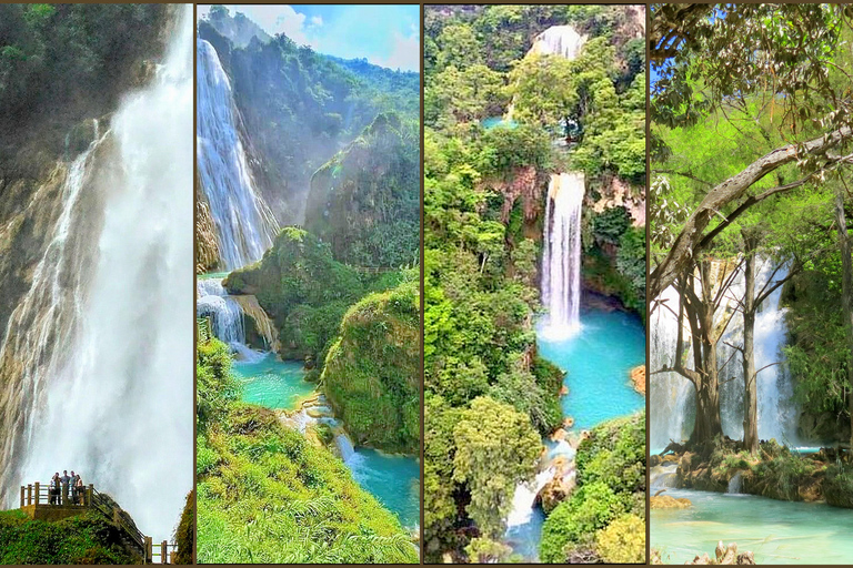 Chiapas: Private Nature Tour 4 Days and 3 NightsPrivate Nature Tour in 4 Days