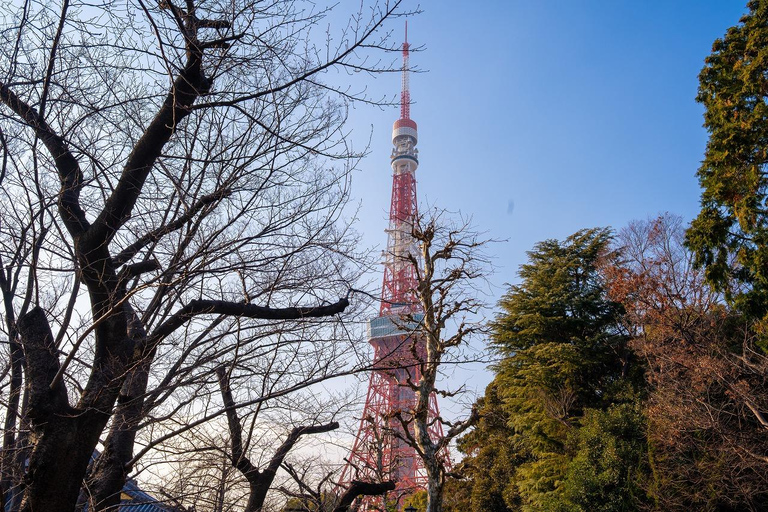 Tokyo: 1-dagars höjdpunkter med privat bil och guide