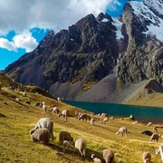 Cusco: Trekking through the 7 lakes of Ausangate | GetYourGuide