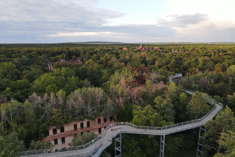 Baum&amp;Zeit Beelitz-Heilstätten: Tree Top Walk Ticket de entrada