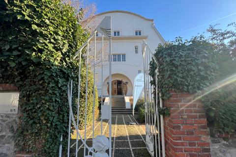 Darmstadt: The Großes Haus Glückert – Turn-of-the-Century Living (and Dreaming)