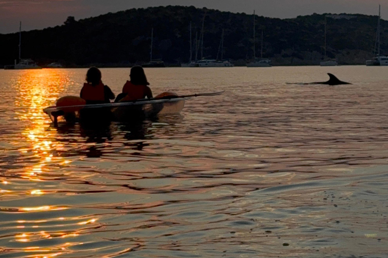 Golfo Aranci: transparent or traditional kayak, dolphins, and aperitif Sunset Tour in a Traditional Kayak with Aperitivo and Dolphins