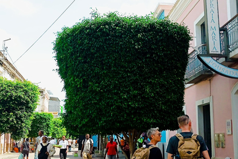 Praia: Guided City Walking Tour