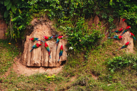 Amazon Wildlife Tour from Cusco–6 Days in the Reserved Zone.