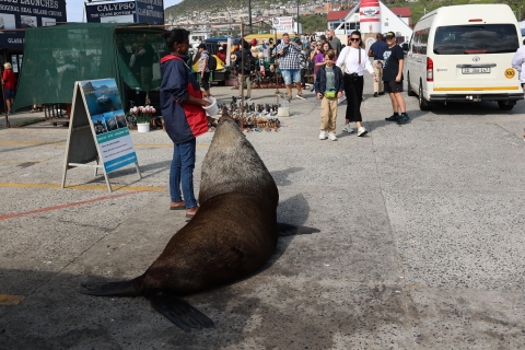 De Cape Town: excursion d'une journée à Cape Point et Boulders Beach