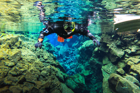 Reykjavík: Silfra-sprickan Snorkling mellan två kontinenterMöte vid Thingvellir nationalpark