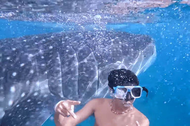Oslob: Whale Sharks, Tumalog Falls & Sumilon Trio Adventure