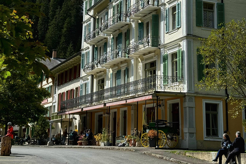 جولة بدراجة كهربائية في وادي روزنلاوي من إنترلاكن