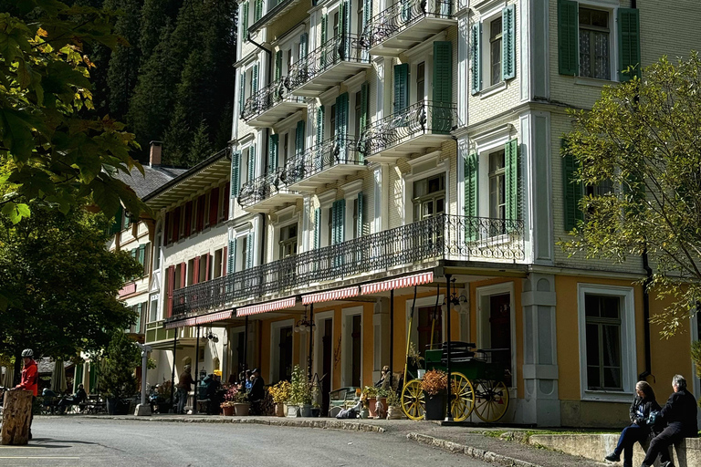 جولة بدراجة كهربائية في وادي روزنلاوي من إنترلاكن