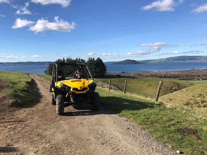 Rotorua 4×4 Self Drive Buggy Tour through Farm and Bushland GetYourGuide