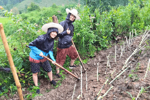 Chiang Mai: Día Completo Santuario Ético de Elefantes y Cascada