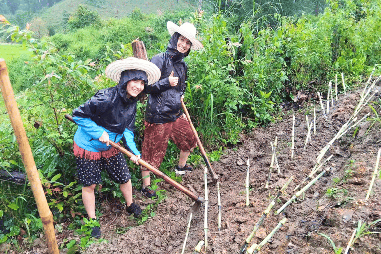 Chiang Mai: Día Completo Santuario Ético de Elefantes y Cascada
