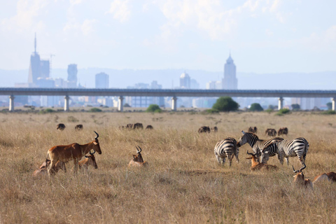 Nairobi: National Park Private Tour with Lunch at Carnivore Nairobi: National Park Private Tour without Lunch