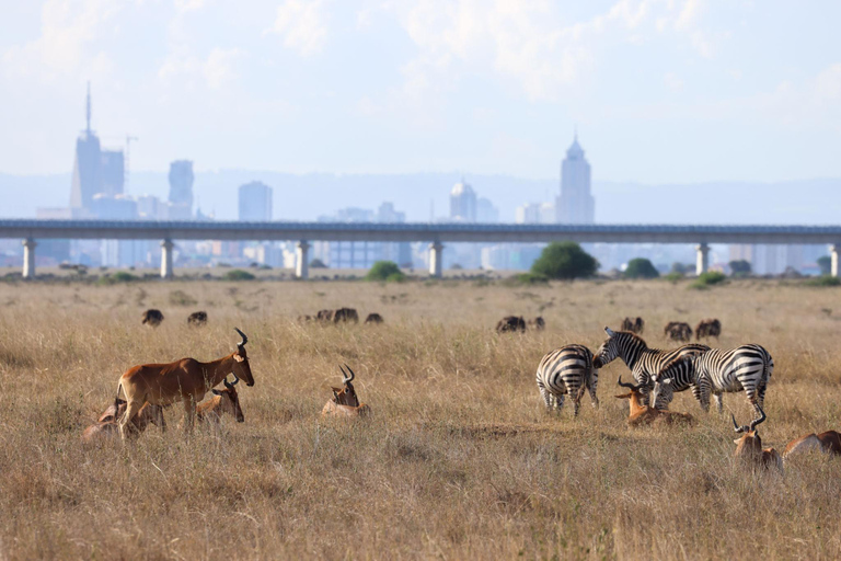 Nairobi: National Park Private Tour with Lunch at Carnivore Nairobi: National Park Private Tour without Lunch