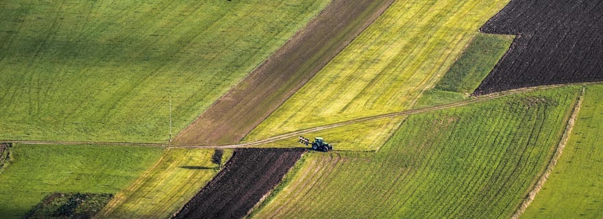 Riga : vol en parapente en tandem avec un moniteur