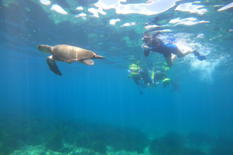 Paphos: Observação de tartarugas com snorkel Passeio de scooter marítimo