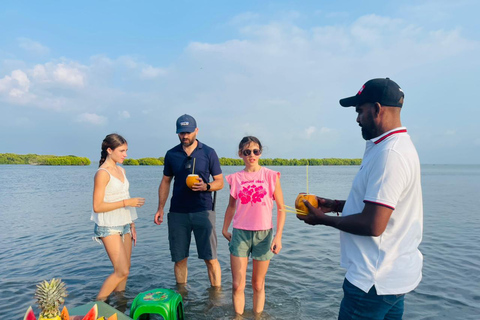From Negombo: Boat Tour of Negombo Lagoon