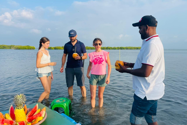 From Negombo: Boat Tour of Negombo Lagoon