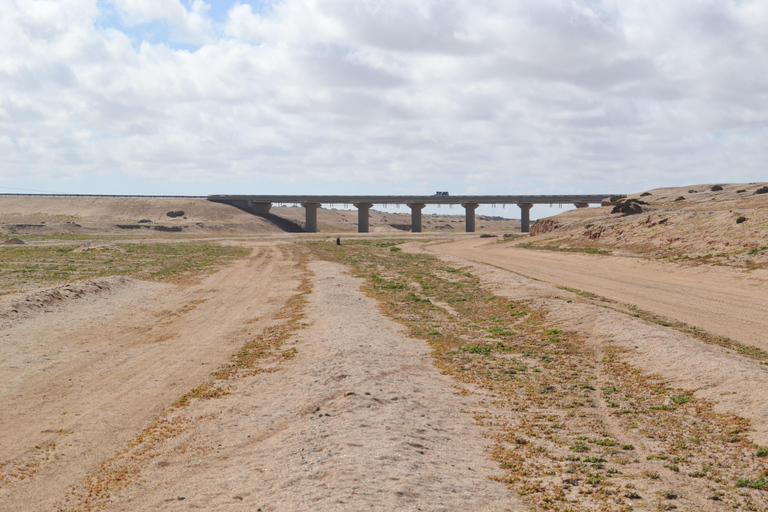 Cape Cross, Seals and River Desert Nature Tour [New Route]
