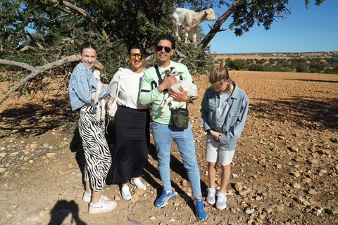 From Marrakech: Essaouira Day Trip with Beach & Medina Essaouira Small Group Day Trip