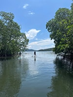 SUP nella foresta di Mangroves - Hizvo
