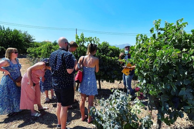 Visit Nemea Premium Wine Tour in Corinth, Greece