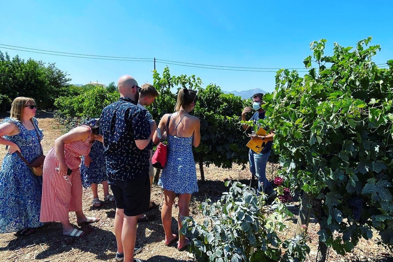 Tripoli: Mantineia Wine Tour Meeting Point: Tripoli