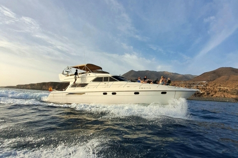 Observation des dauphins et des baleines avec un yacht de luxeFuerteventura : Excursion en yacht de luxe avec plongée en apnée