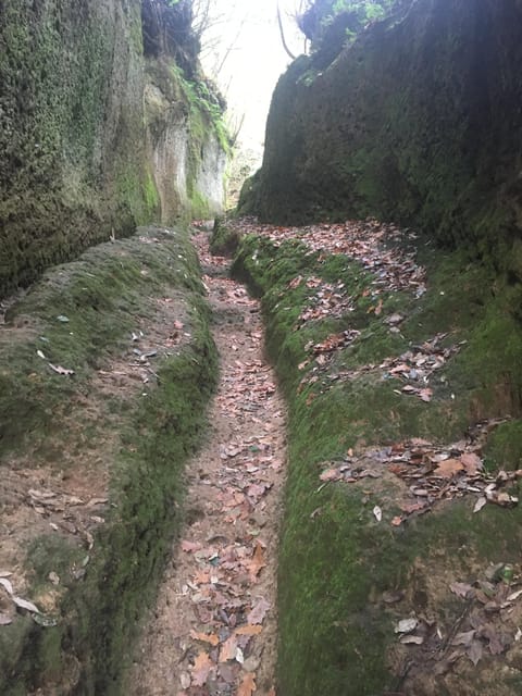 Sorano, la grotte de Vie et Cantina della Luce - Hizvo