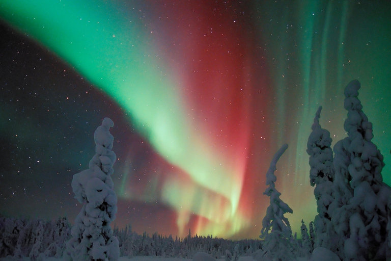 Saariselkä: Auroras Northern Lights Viewing & Photographing