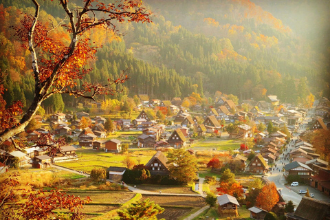 Nagoya: Takayama &amp; Shirakawa-go Day Trip w/ Hida Pork LunchNagoya: escursione di un giorno a Takayama e Shirakawa-go con pranzo a base di maiale di Hida