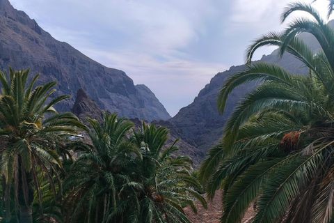 Teneryfa: ekskluzywna wycieczka Teide-Masca-Garachico